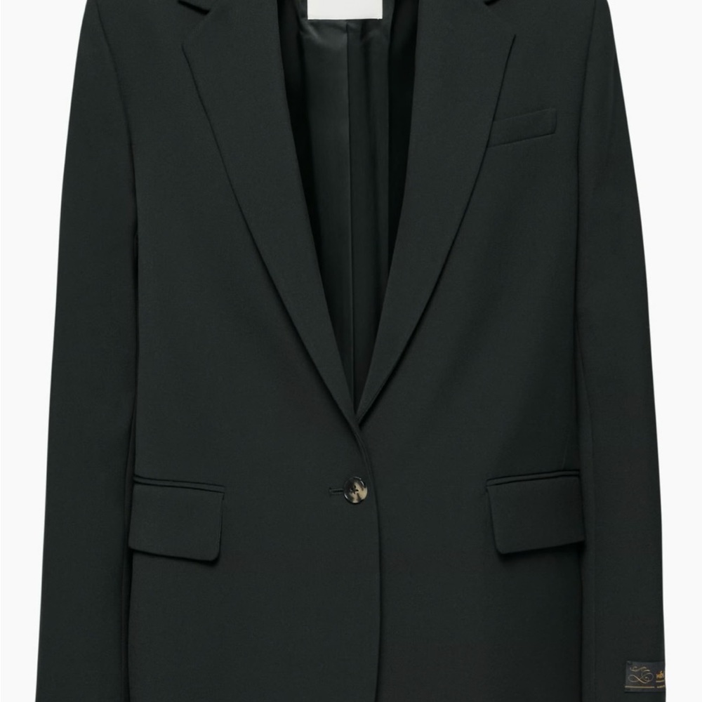 Aritzia Wilfred Generation Blazer
